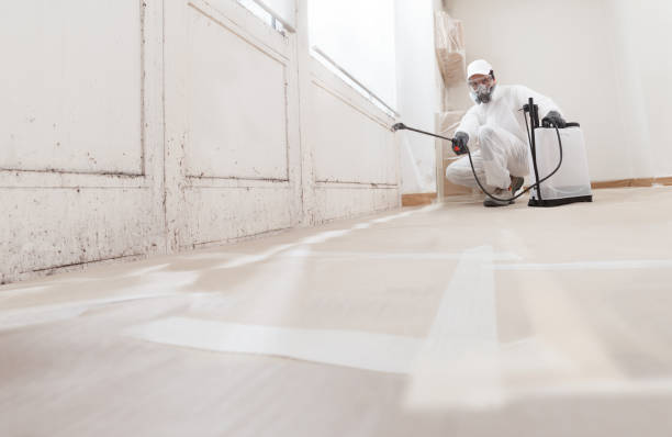24/7 Emergency Mold Remediation experts in Madison, NC